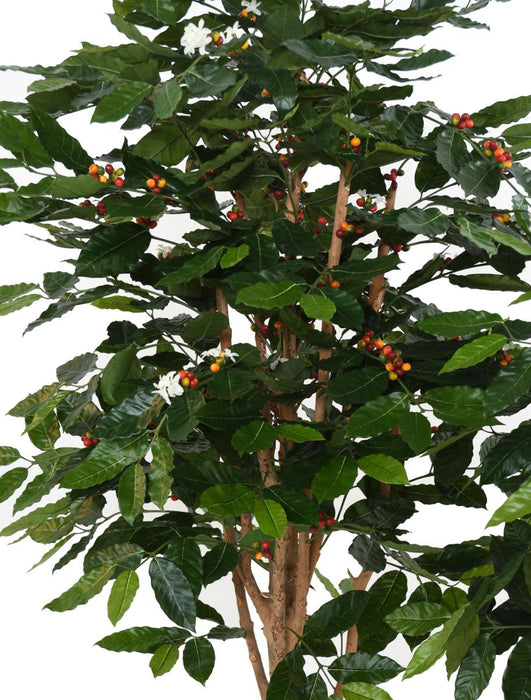 Kunstigt Kaffetræ Med Blomster Og Knudret Stamme 175 Cm