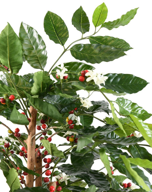 Kunstige Kaffetræblomster Knudret Stamme 150 Cm