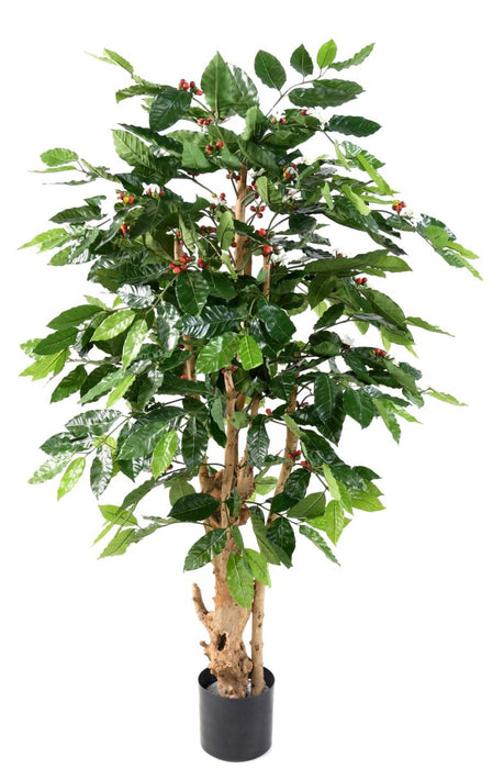 Kunstige Kaffetræblomster Knudret Stamme 150 Cm