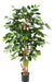 Kunstige Kaffetræblomster Knudret Stamme 150 Cm