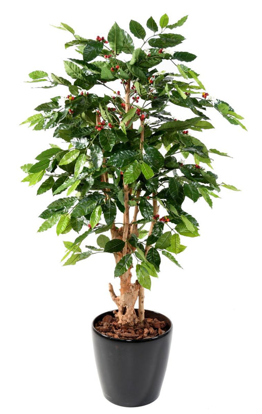 Kunstige Kaffetræblomster Knudret Stamme 150 Cm