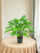 Calathea Makoyana Deluxe - Kunstig Grøn Plante