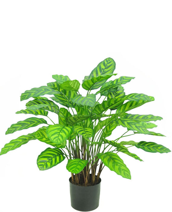 Calathea Makoyana Deluxe - Kunstig Grøn Plante