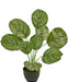 Calathea - Kunstig Grøn Plante