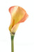 Kunstig Calla Lily 90 Cm Pink Orange Dekoration