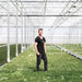 Campanula Addenda - 12 Vinterviolet Haveplanter
