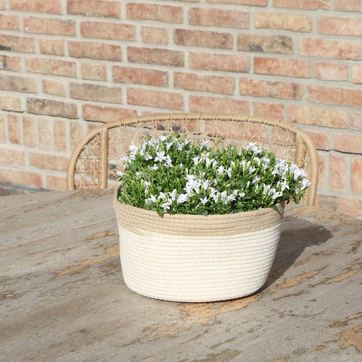 Campanula Addenda Hvid Ambella I Vævet Kurv Med Beholder