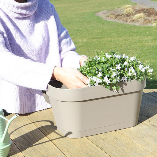 Campanula Addenda White - Balkonbak Taupe - 3 Gryder Inkluderet