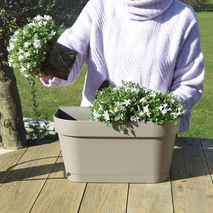 Campanula Addenda White - Balkonbak Taupe - 3 Gryder Inkluderet
