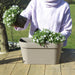 Campanula Addenda White - Balkonbak Taupe - 3 Gryder Inkluderet