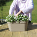 Campanula Addenda White - Balkonbak Taupe - 3 Gryder Inkluderet