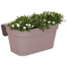 Campanula Addenda White - Balkonbak Taupe - 3 Gryder Inkluderet