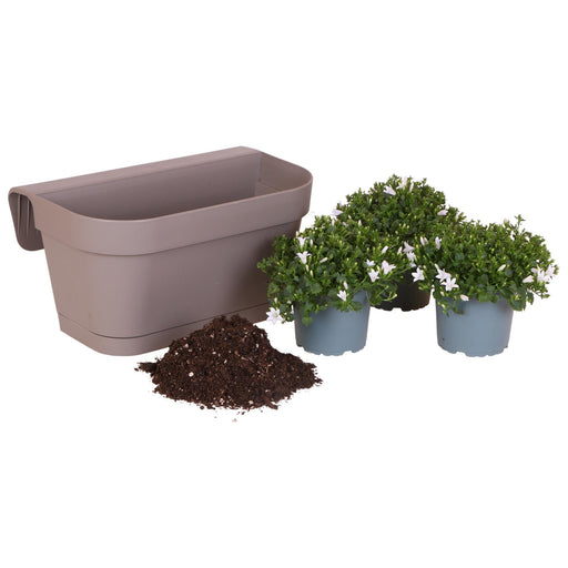 Campanula Addenda White - Balkonbak Taupe - 3 Gryder Inkluderet