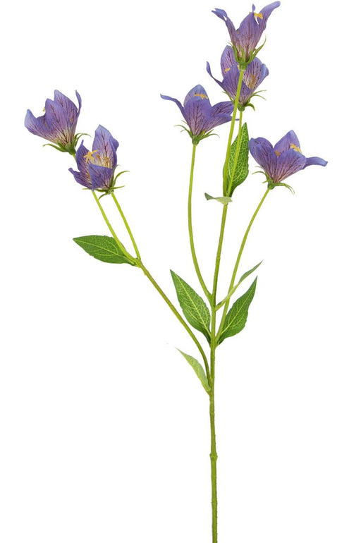 Lilla Silke Campanula