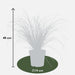 Carex Testacea 'Prairie Fire' - ↨40Cm - Ø19 - Græsser - Udendørs Plante
