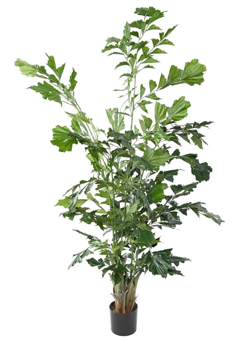 Kunstig Caryota H.190 Cm Til Indretning