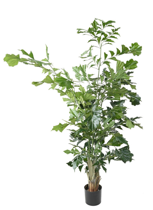 Kunstig Caryota H.190 Cm Til Indretning
