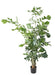 Kunstig Caryota H.190 Cm Til Indretning