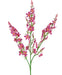 Lyserød Katteurt - Kunstig Blomstergren