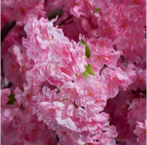 Kunstig Kirsebærblomst 230 Cm Indvendig Dekoration
