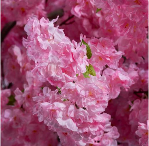 Kunstig Kirsebærblomst 230 Cm Indvendig Dekoration