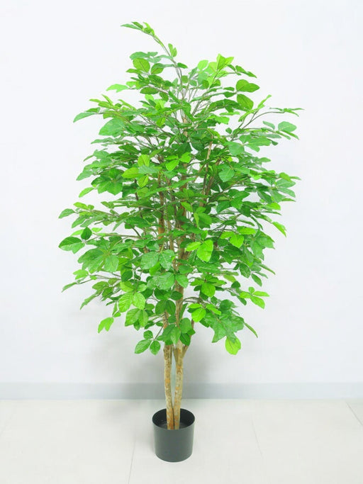 Carpinus Charm - Kunstigt Træ