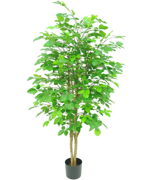 Carpinus Charm - Kunstigt Træ
