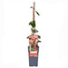 Vild Kaprifolie 'Belgica' - ↨65 Cm - Ø15 - Blomstrende Udendørs Plante