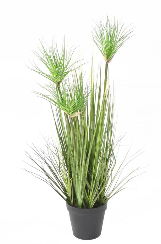 Kunstig Chrysopogon I Pot 60Cm Indendørs Græs