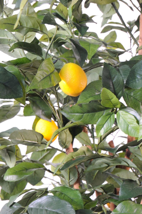 Kunstigt Citrontræ 150 Cm Indendørs Plante