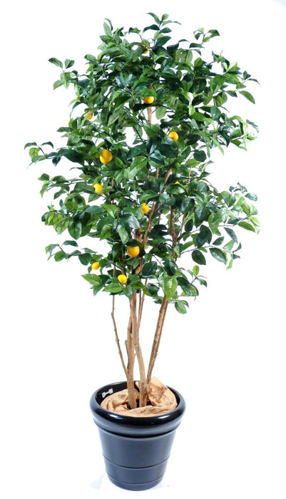 Kunstigt Citrontræ 150 Cm Indendørs Plante