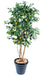 Kunstigt Citrontræ 150 Cm Indendørs Plante