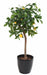 Kunstigt Citrontræ I Potte 110 Cm Med Citroner