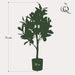 Citrontræ Kunstig Plante - H72Cm, Ø12Cm
