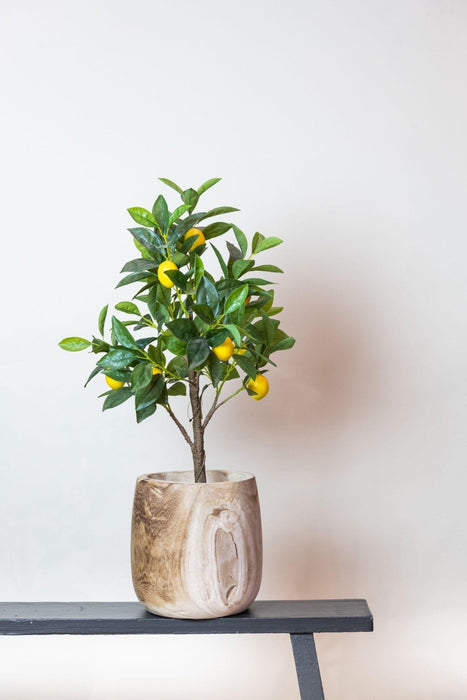 Citrontræ Kunstig Plante - H72Cm, Ø12Cm