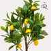Citrontræ Kunstig Plante - H72Cm, Ø12Cm