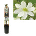 Creme Clematis D17Cm H75Cm
