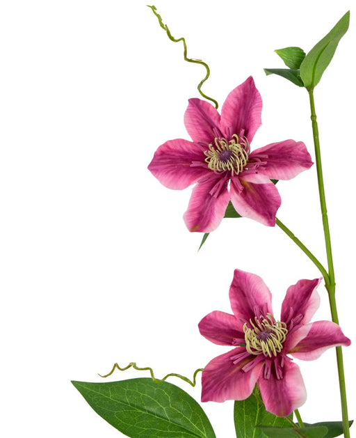 Kunstig Dobbeltviolet Klematis