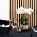 Home Hub Box | Phalaenopsis Orkidé Og Sukkulente Planter