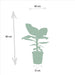 Box Monstera Deliciosa, Alocasia Zebrina, Strelitzia Nicolai, Banana Musa - Sæt Med 4 Planter
