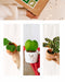 Perfekt Plantegaveæske - Baby Plant Trio