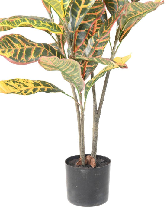 Kunstig Croton H.100Cm Til Indvendig Udsmykning