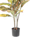 Kunstig Croton H.100Cm Til Indvendig Udsmykning