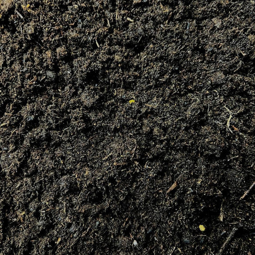 Culvita - Potgrond Specia Met 6 Måneders Ernæring 40 Liter - Premium Pottejord Til Indendørs Og Udendørs Planter - Med Næring Fra Easycoat