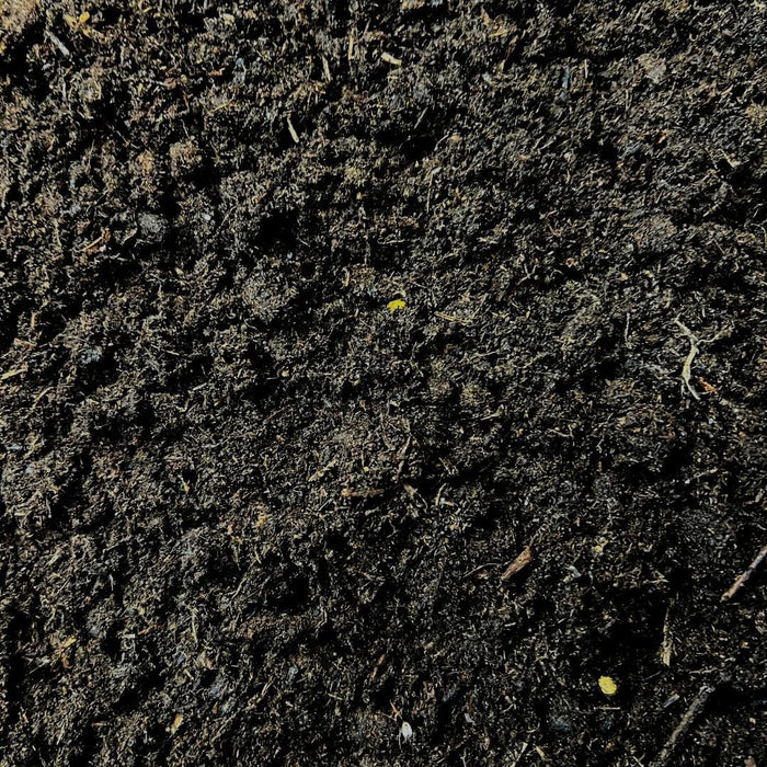 Culvita - Potgrond Specia Met 6 Måneders Ernæring 40 Liter - Premium Pottejord Til Indendørs Og Udendørs Planter - Med Næring Fra Easycoat