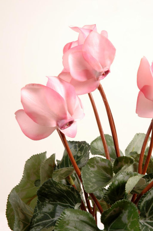 Kunstig Cyclamen Pink 32 Cm På Stake