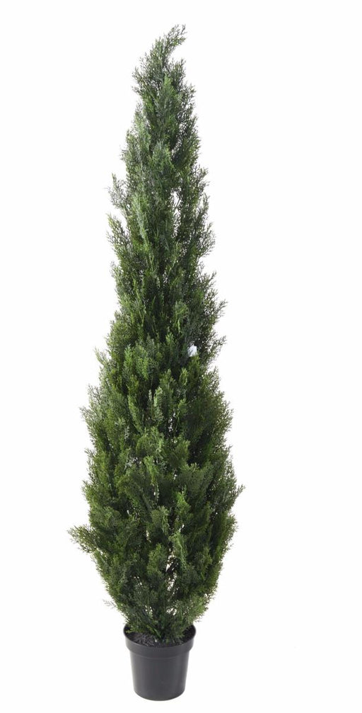 Kunstig Cypres H.210Cm Til Indvendig Og Udvendig