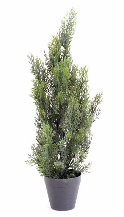 Miniature Kunstig Cypres H.55Cm Til Udendørs