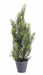 Miniature Kunstig Cypres H.55Cm Til Udendørs