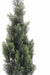 Miniature Kunstig Cypres H.93Cm Til Udendørs